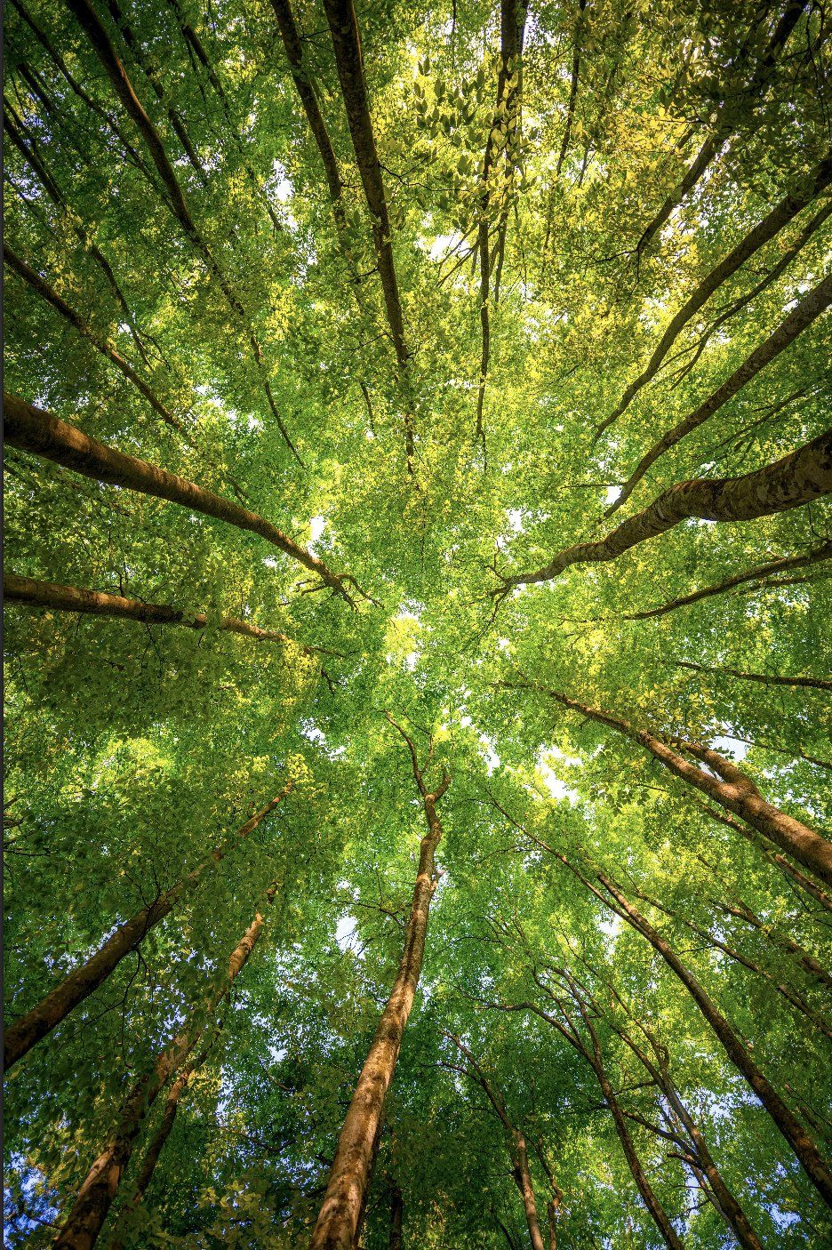 Repowering coal and other solutions for the climate crisis | Kirsty Gogan, Terra Praxis